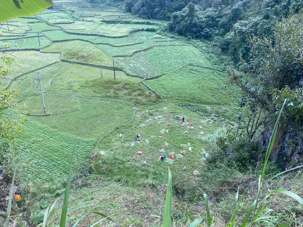 Bac Ha Biking Tour 2 Days